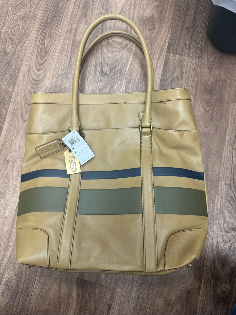 Coach Bleeker Tan Leather XL Striped Tote with Green and Blue Stripes